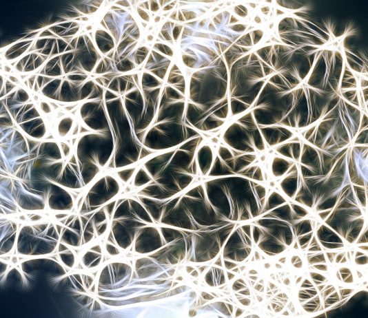 Las funciones del cerebro