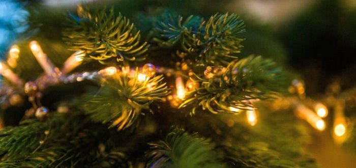 Curiosidades de Alemania, San Bonifacio y el primer árbol de Navidad