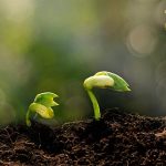 18 curiosidades de la Tierra