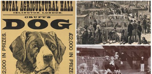 El origen victoriano de las controvertidas exposiciones caninas El origen victoriano de las controvertidas exposiciones caninas