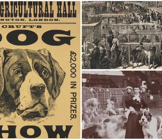 El origen victoriano de las controvertidas exposiciones caninas