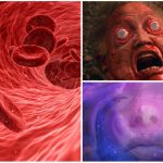 Por qué se dice que hierve la sangre de los humanos expuestos al vacío