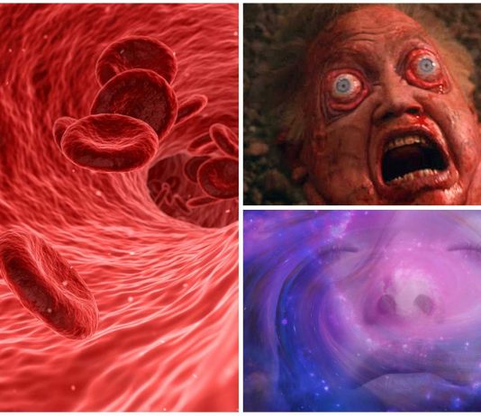 Por qué se dice que hierve la sangre de los humanos expuestos al vacío