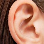 organos que no sirven