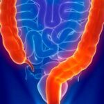 para que sirven las partes del cuerpo