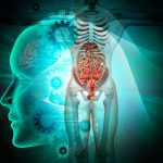 organos que no sirven