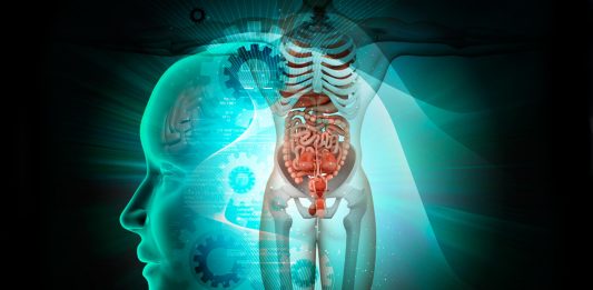10 Partes del Cuerpo que no sirven | ¡Ya no las necesitamos! organos que no sirven