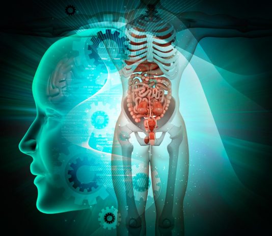 organos que no sirven