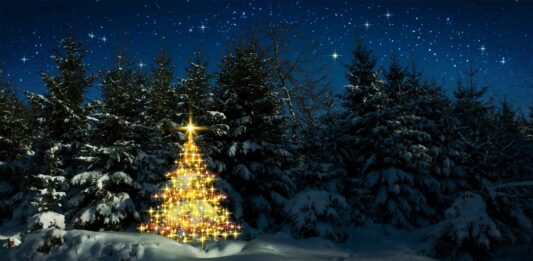San Bonifacio y el Árbol de Navidad | El primero en la historia san bonifacio y el arbol de navidad
