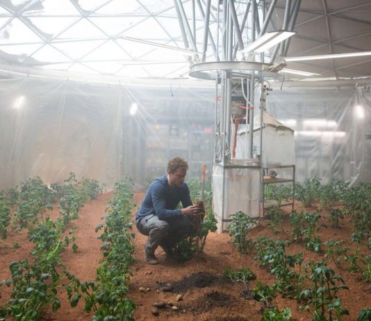 La granja de la Antártida que podría viajar a Marte La granja de la Antártida que podría viajar a Marte