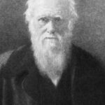 equivocaciones de los genios