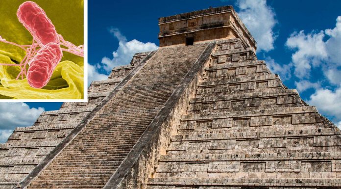 La enfermedad que pudo haber precipitado la desaparición del Imperio Azteca