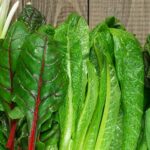 alimentos venenosos para humanos