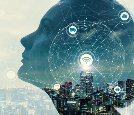 El cerebro humano que los científicos lograron conectar a Internet