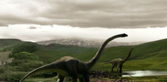 ¿De qué color eran los dinosaurios? | ¿Hay alguna forma de saberlo? de qué color eran los dinosaurios