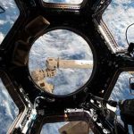 «Immortality Drive», el ADN extraordinario que guarda la Estación Espacial