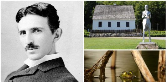 ¿Qué sabes de la infancia de Tesla? ¡Ya era un genio! ¿Qué sabes de la infancia de Tesla? ¡Ya era un genio!