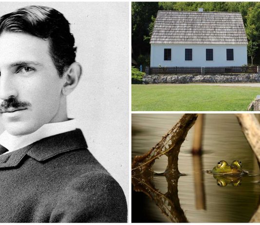 ¿Qué sabes de la infancia de Tesla? ¡Ya era un genio! ¿Qué sabes de la infancia de Tesla? ¡Ya era un genio!