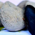 alimentos venenosos para humanos