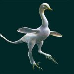 Halszkaraptor-escuilliei.-La-criatura-entre-el-dinosaurio-y-el-pato