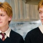 Curiosidades de Harry Potter, Lo que ocurre cuando los gemelos Weasley se separan