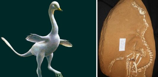 El Dinosaurio con Pico de Pato