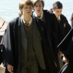 Curiosidades de Harry Potter, Quejicus