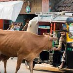 25 Curiosidades de India, un país enigmático