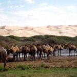 25 Curiosidades de Mongolia, el país de Genghis Khan