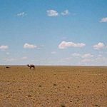 25 Curiosidades de Mongolia, el país de Genghis Khan
