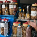 curiosidades de asia, vietnam, vino de serpiente