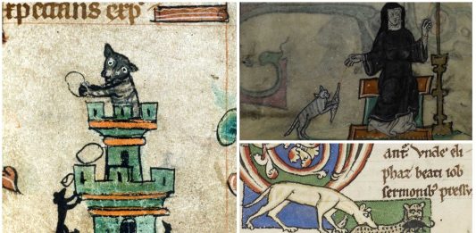 10 Alucinantes imágenes de gatos en manuscritos medievales