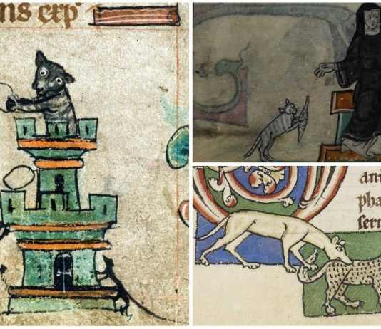 10 Alucinantes imágenes de gatos en manuscritos medievales
