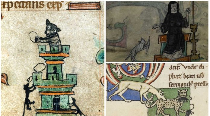 10 Alucinantes imágenes de gatos en manuscritos medievales