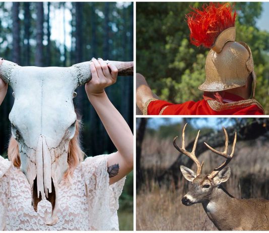 Poner los cuernos o ser un cornudo. Descubre el origen de esta expresión Poner los cuernos o ser un cornudo. Descubre el origen de esta expresión