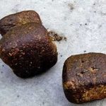 ¿Por qué los Wombats defecan cubos?