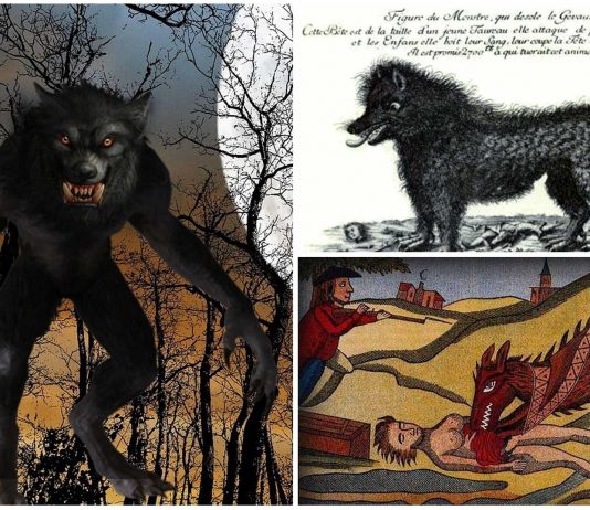 La Bestia de Gévaudan, un críptido devorador de hombres La Bestia de Gévaudan, un críptido devorador de hombres