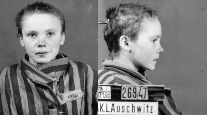 Niña en Auschwitz