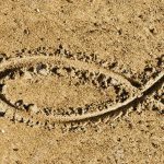 Ichthys, el símbolo secreto de los cristianos durante las persecuciones