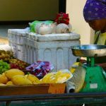 cadena alimenticia, cadena trófica, ser humano, frutas