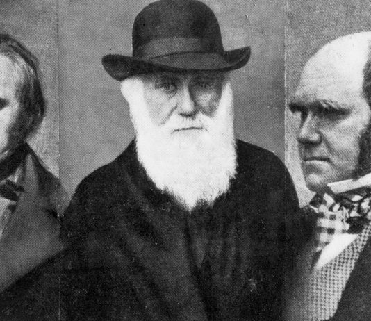 Tuvo problemas con muchas religiones, pero ¿era Darwin ateo? darwin ateo