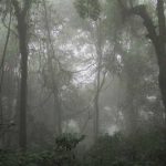 20 Curiosidades de Guinea Ecuatorial que quizás no conocías