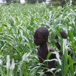 20 Curiosidades de Mali. Descubre más de este país