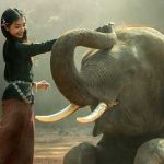 30 Curiosidades de Tailandia, el antiguo y enigmático reino de Siam