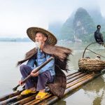 curiosidades de China, pesca con cormorán