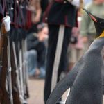 50 Curiosidades de Noruega, el sorprendente país vikingo | Con imágenes