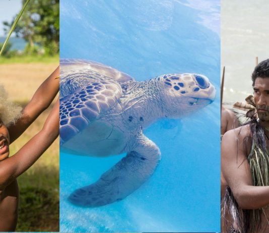 50 Curiosidades de Oceanía impresionantes curiosidades de Oceanía