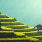 50 Curiosidades de Tailandia, el antiguo reino de Siam | Con imágenes