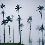 20 Datos Curiosos de Colombia. ¡Sorpréndente con ellos!