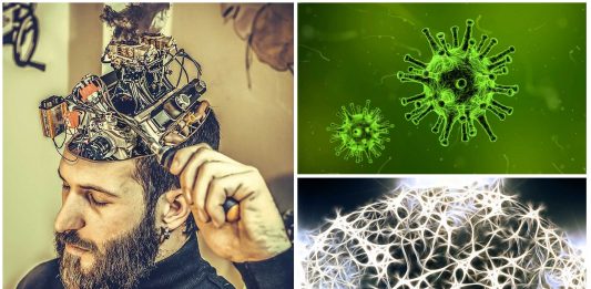 ¿Pudo un virus poner en marcha la conciencia y hacernos humanos?